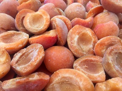 Apricots fruit Free photos photo