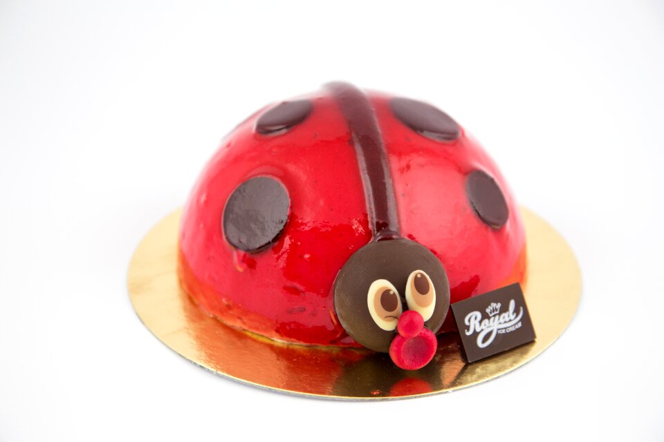 Ladybug ice raspberry