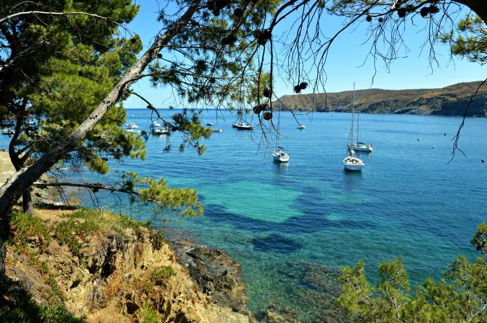 Water view landscape