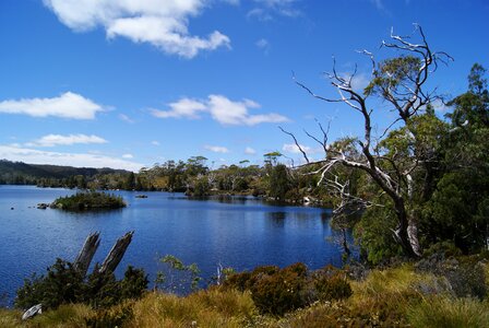 Nature scenic tasmania