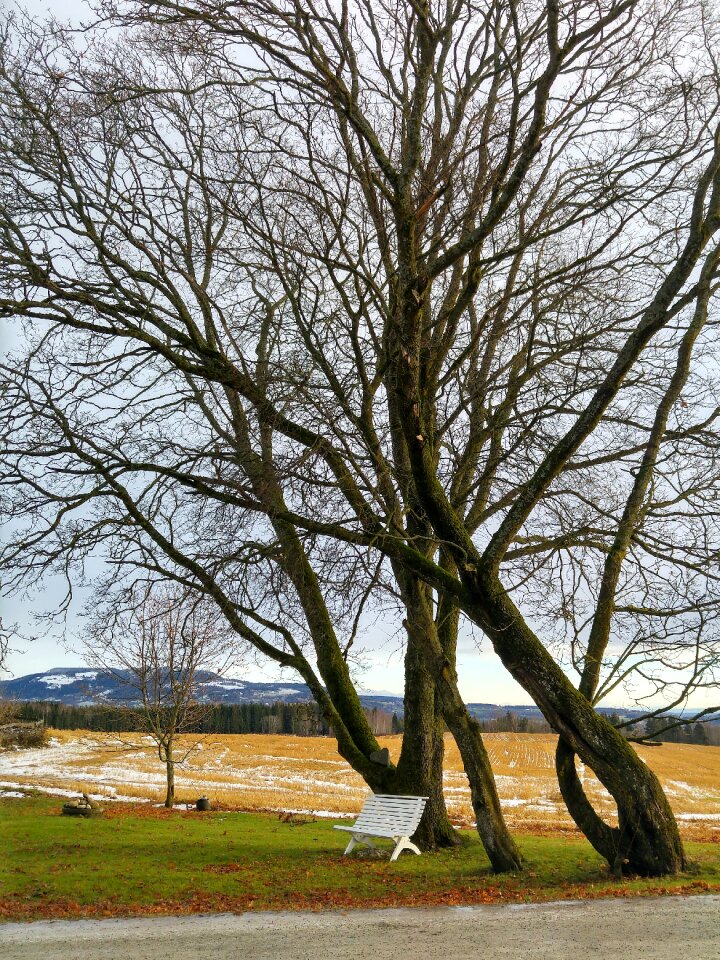 Snow park rural