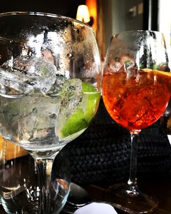 Drinks gin drink