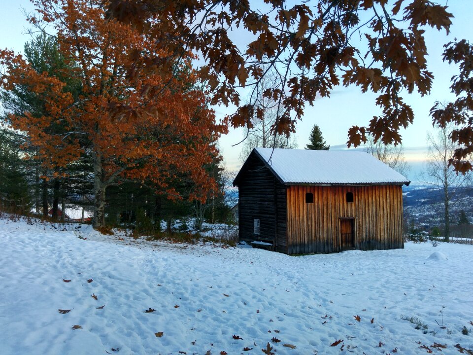 Snow landscape rural