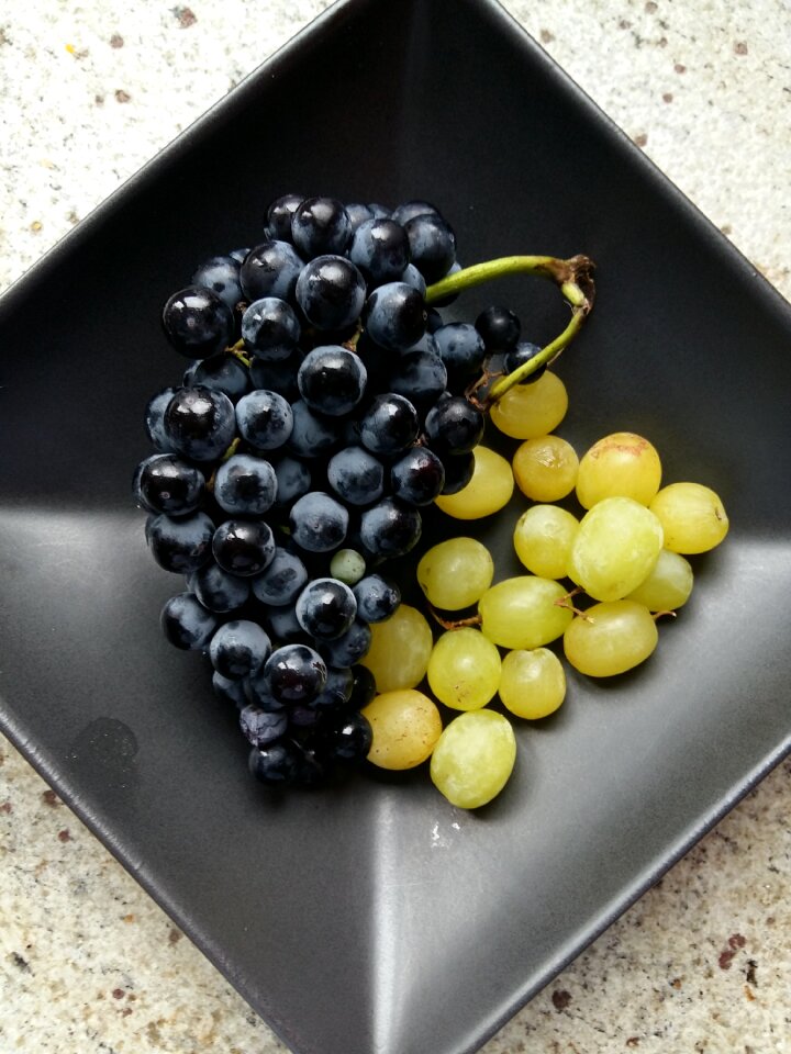 Healthy vine