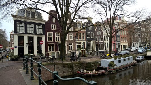 Dutch holland