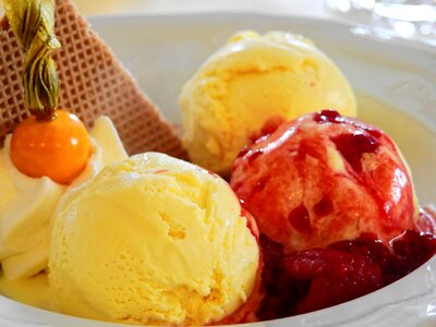 Nutrition restaurant ice