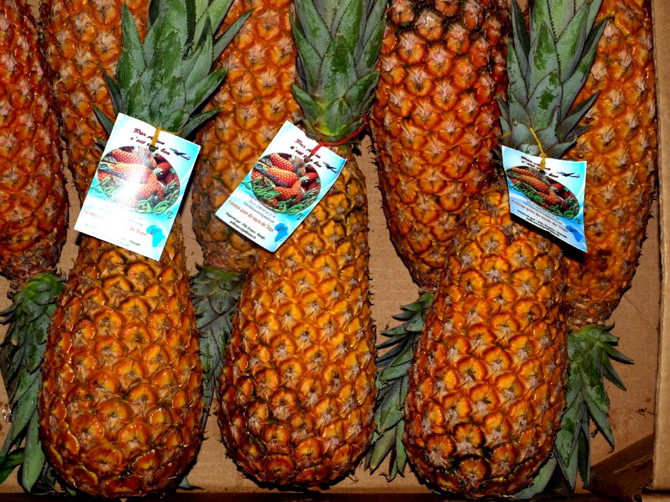 Fruit france kitchen