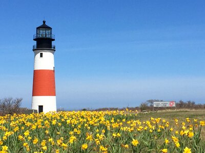 Landmark coast spring