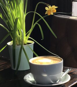 Cup espresso breakfast photo