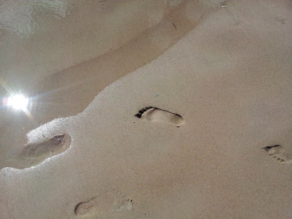 Sea shape of the foot the baltic sea