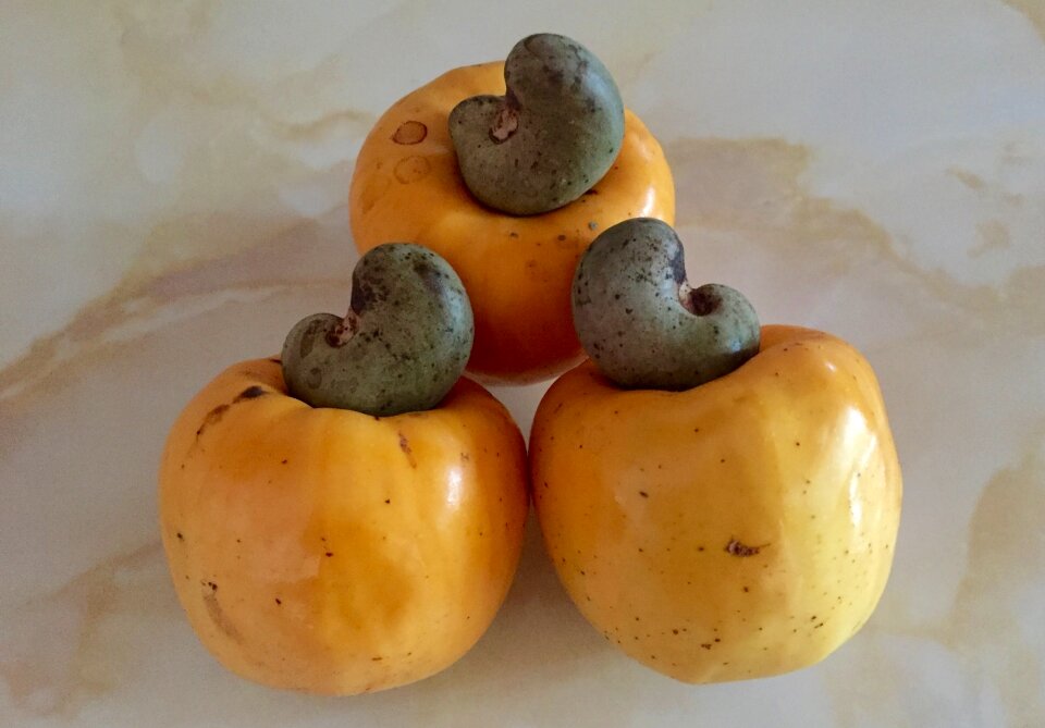 Cashew nut food healthy