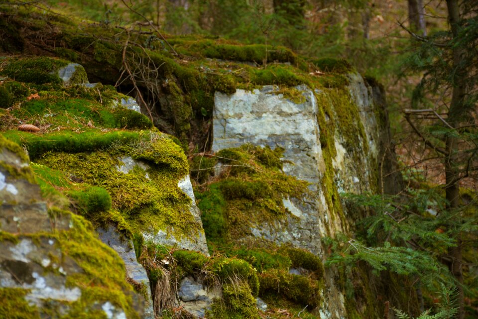 Mountains forest czech