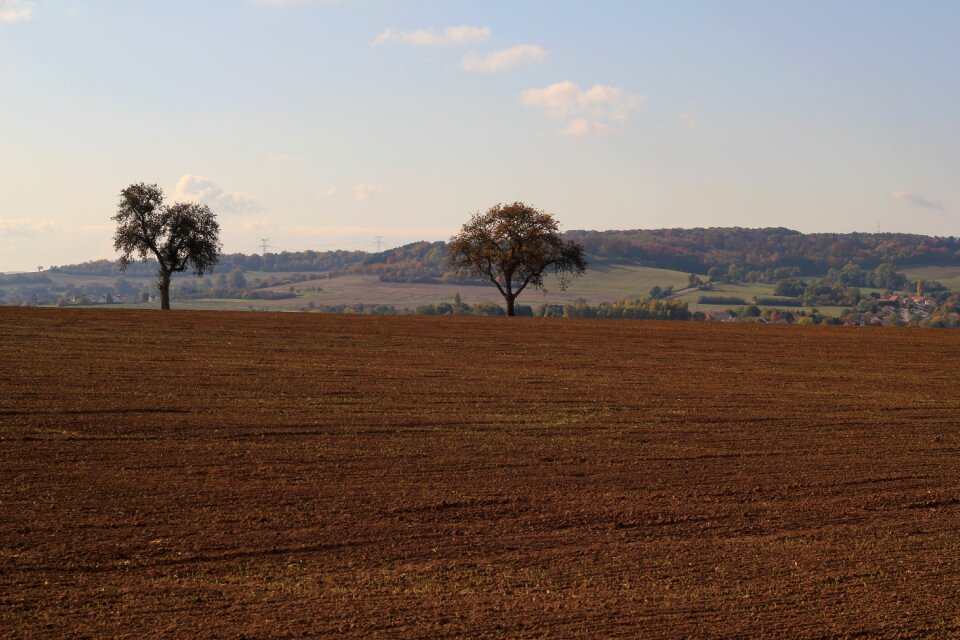 Nature cereals agriculture