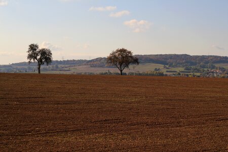 Nature cereals agriculture