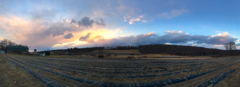 Clouds field nature