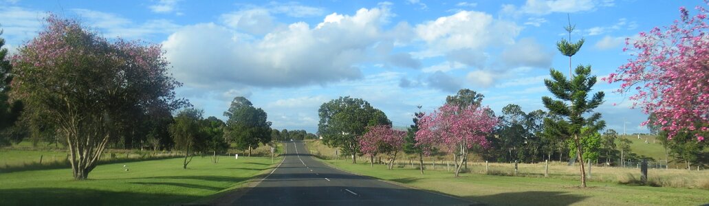 Queensland australia tourism photo