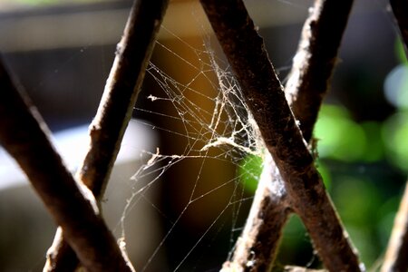 Window iron rod