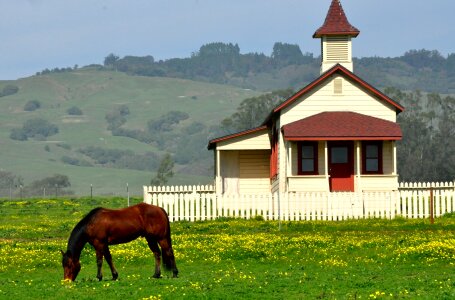 Grazing california hills picket fence