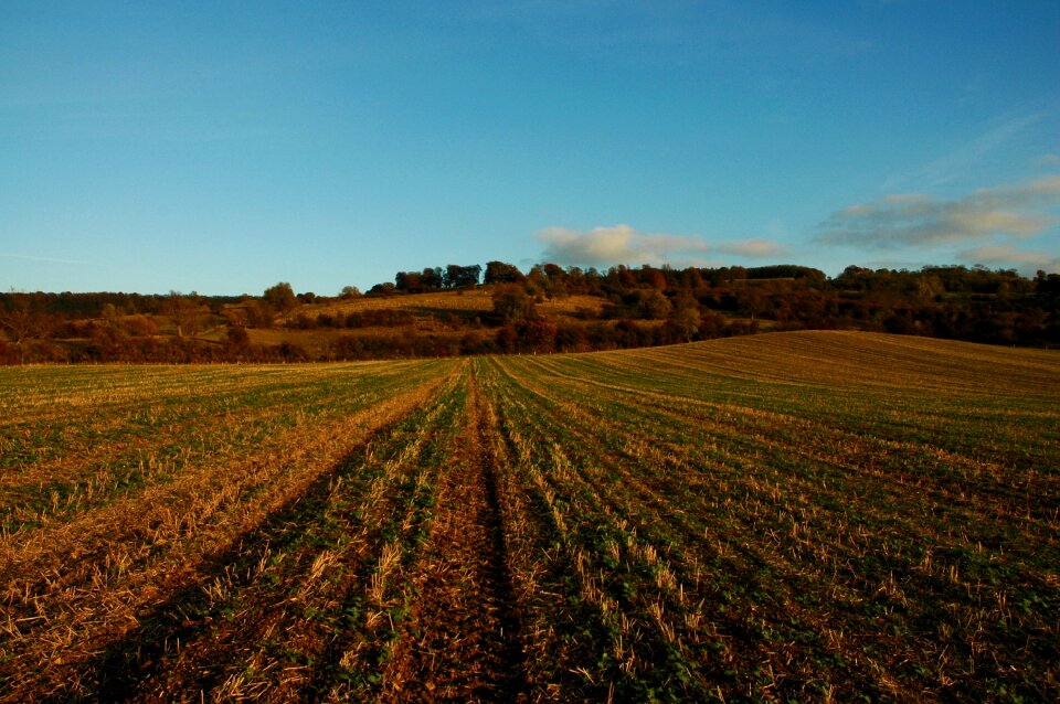 Nature landscape