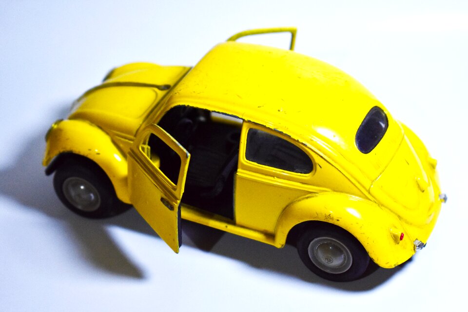 Car vehicle beetle