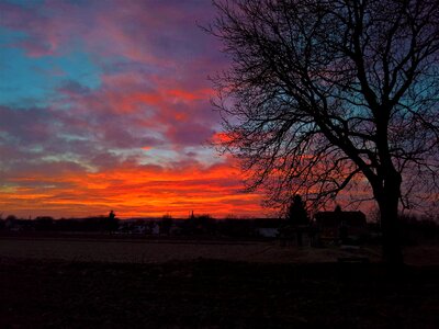 Red blue before spring photo