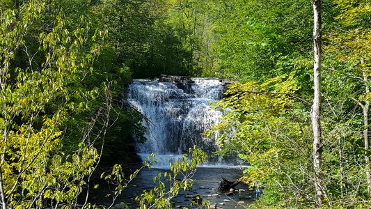 Woods green waterfall