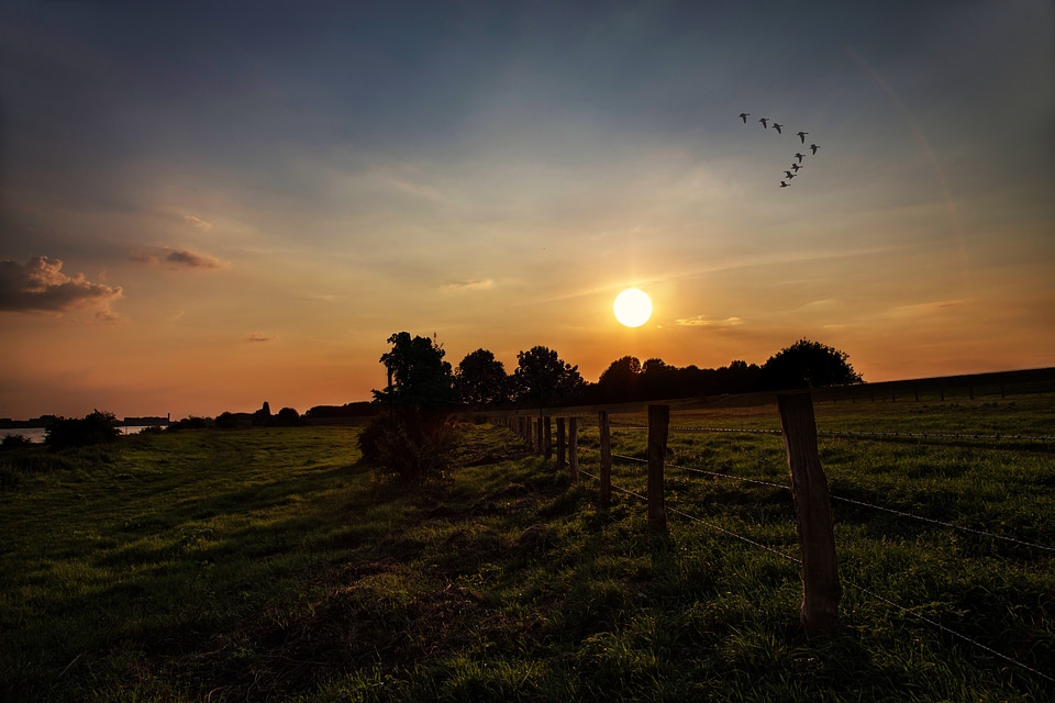 Landscape mood backlighting
