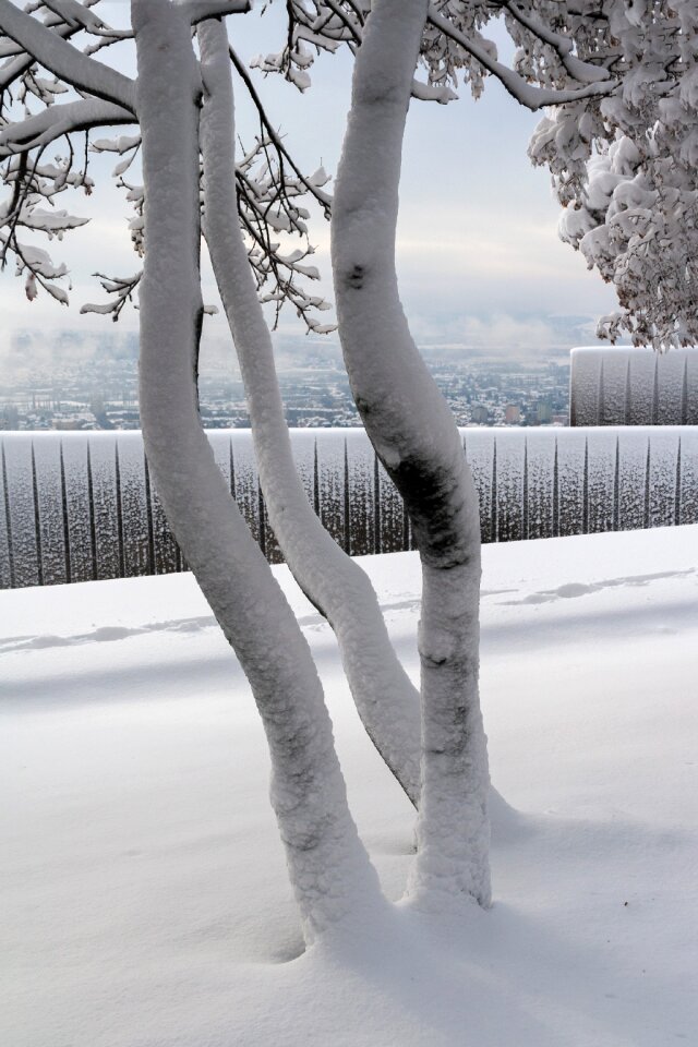 Snow pec mecsek