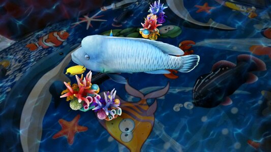 Fish water bargain