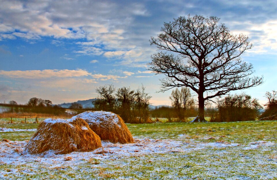 Autumn snow light