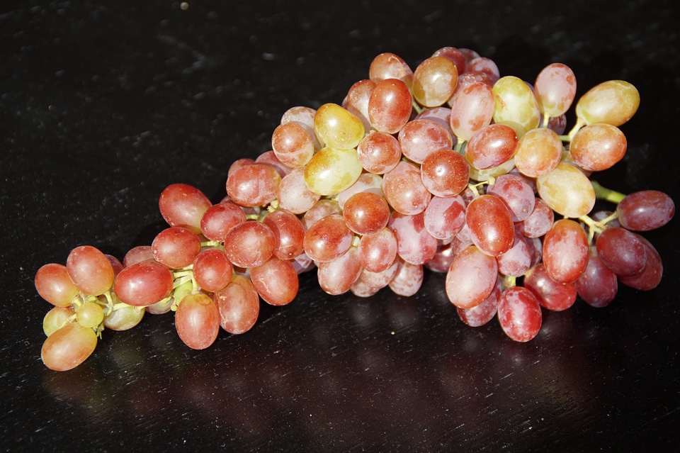 Autumn colours sweet food