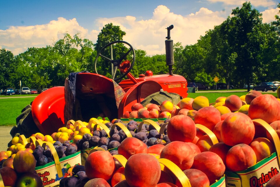 Wagon farm agriculture