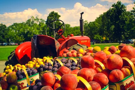 Wagon farm agriculture