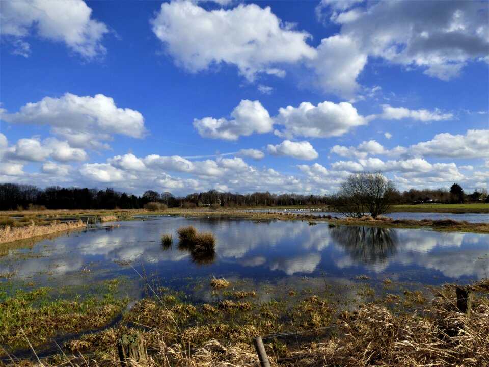 Flood mirroring flooding