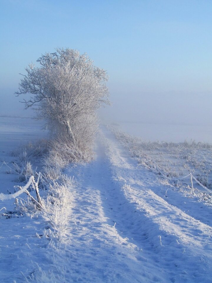 Away cold wintry