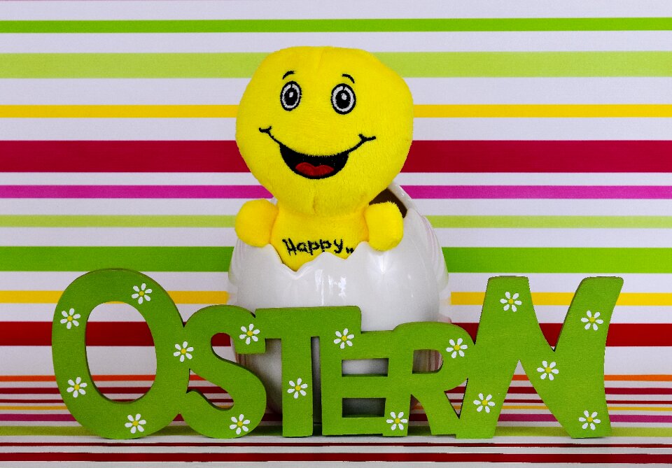 Cheerful funny eggshell