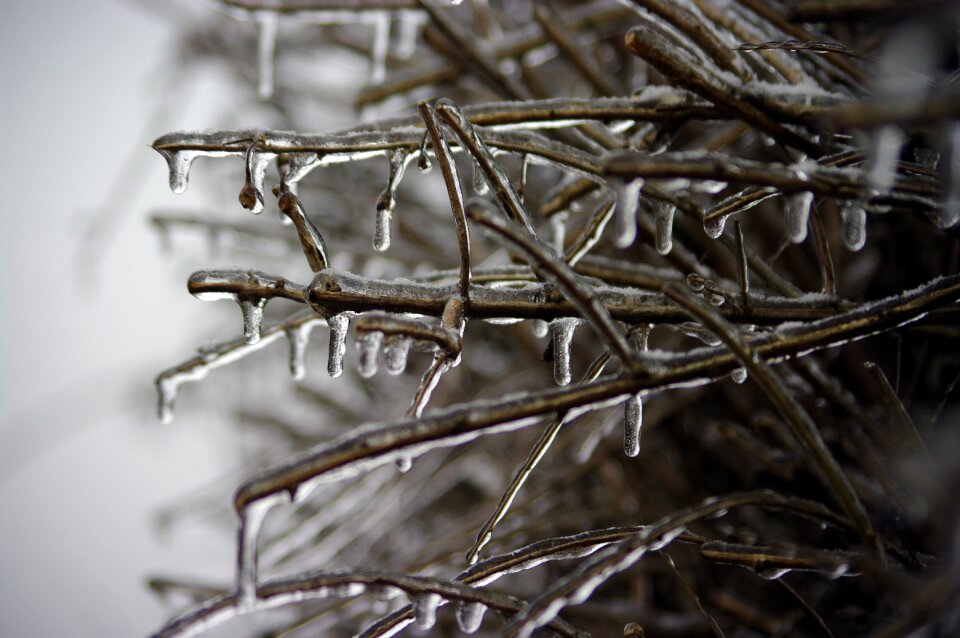 Icing landscape frost