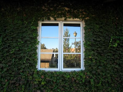 Green window green change
