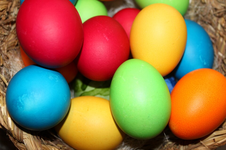 Egg easter egg painting color