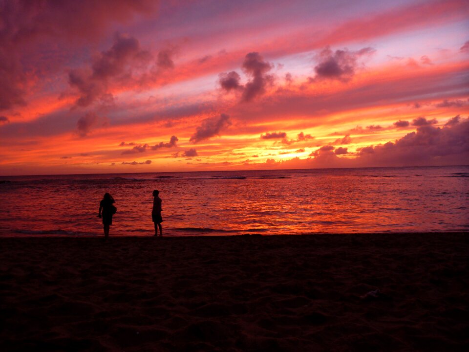 Tropical evening photo