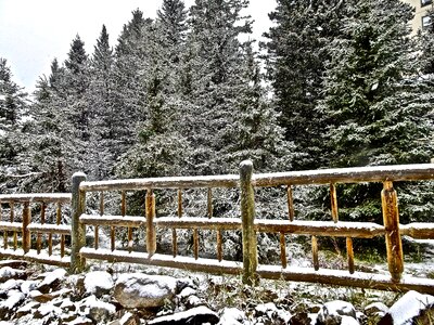 Rustic boundary security