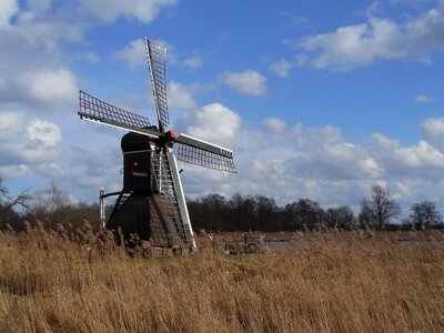 Spider mill mill nature