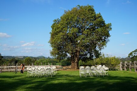 Chairs love bride