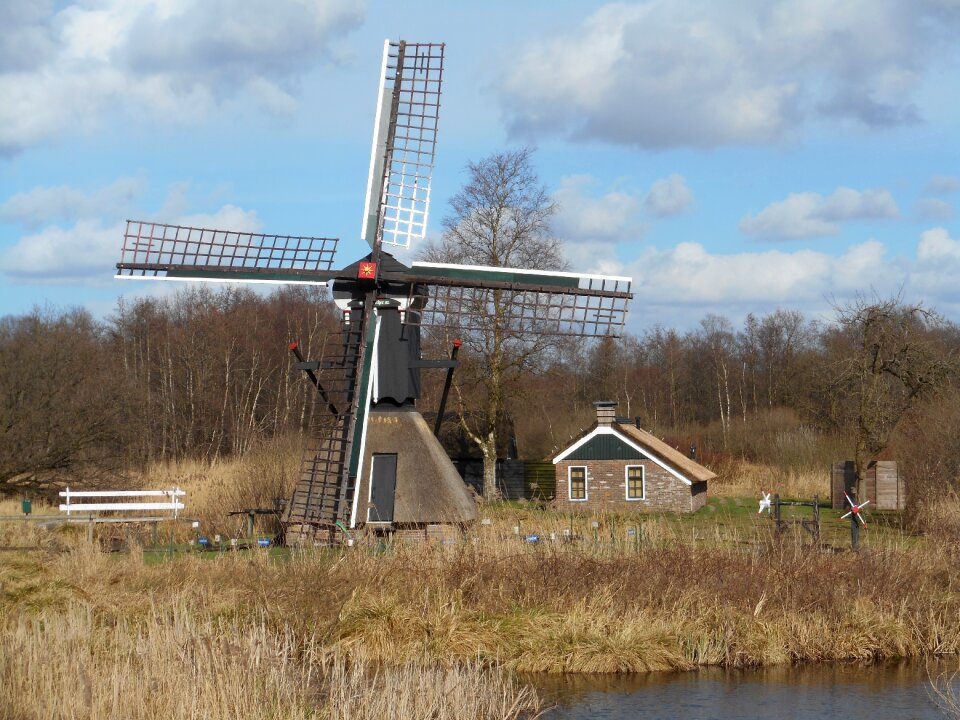 Spider mill mill nature