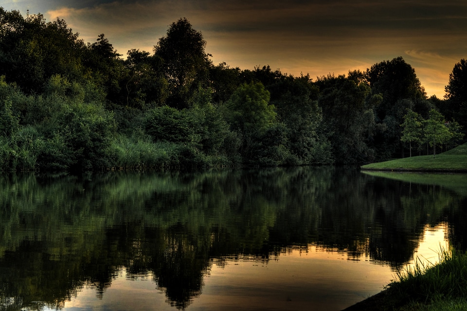 Pond quiet tranquil