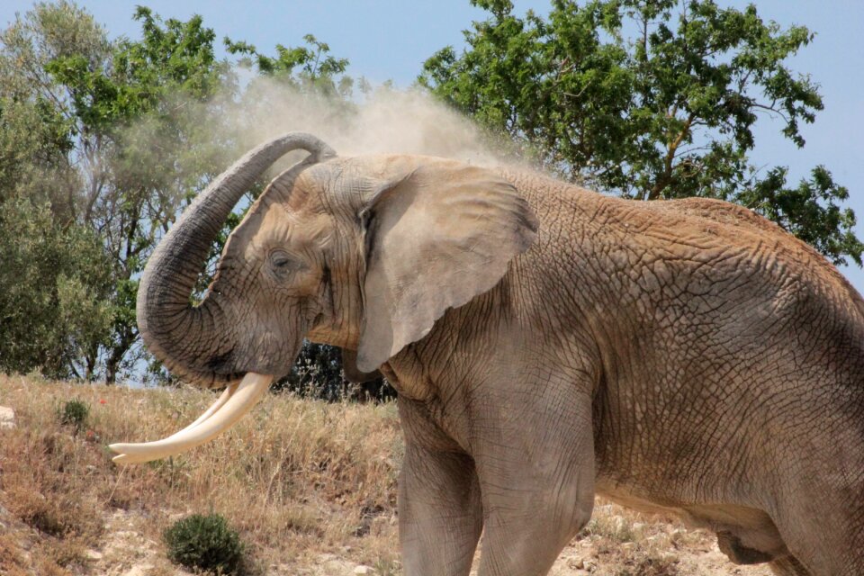 Africa animal reserve
