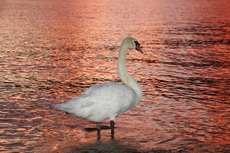 Abendstimmung waters bank