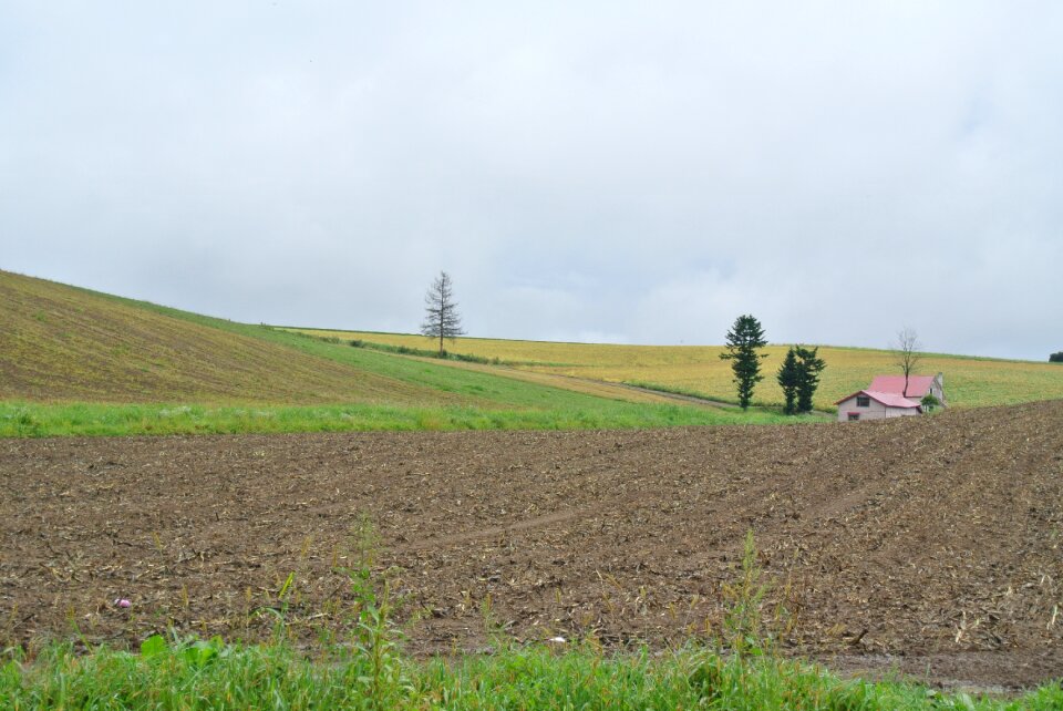 Hokkaido earth outdoors