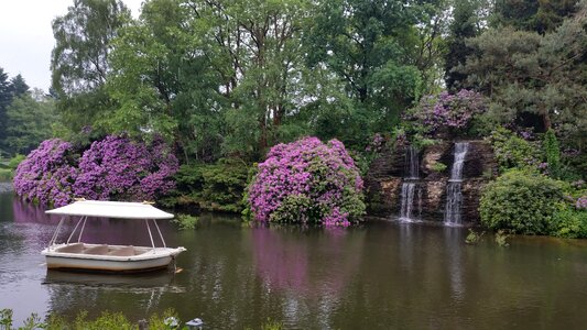 Boat waterfall purple flowers