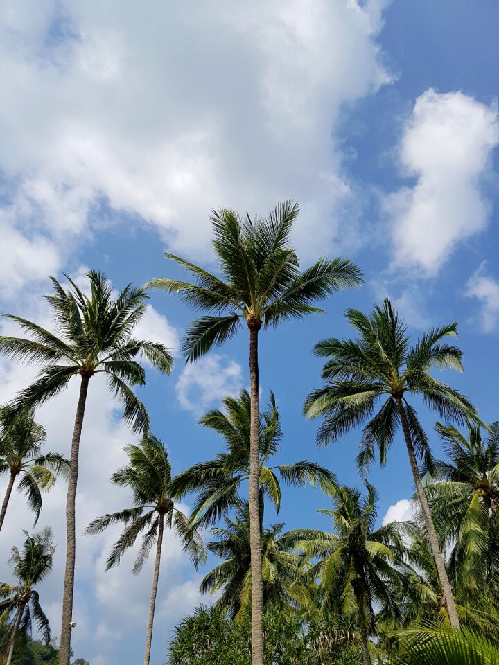 Sky clouds